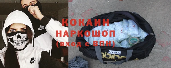 молекула духа Богородск