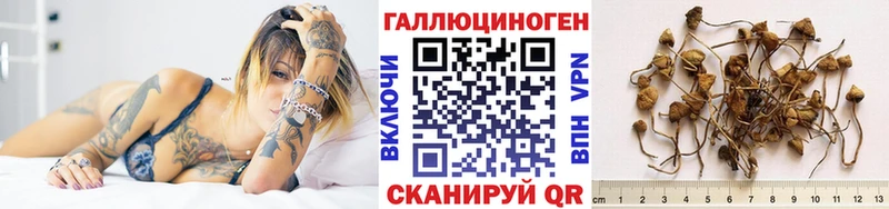где купить наркотик  Великий Устюг  гидра зеркало  Псилоцибиновые грибы ЛСД 